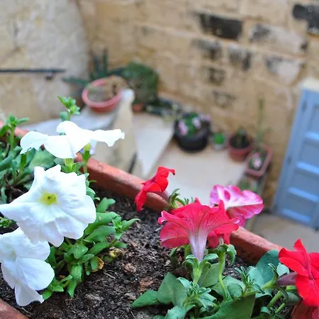 Dar Ghax-xemx Casa vacanze