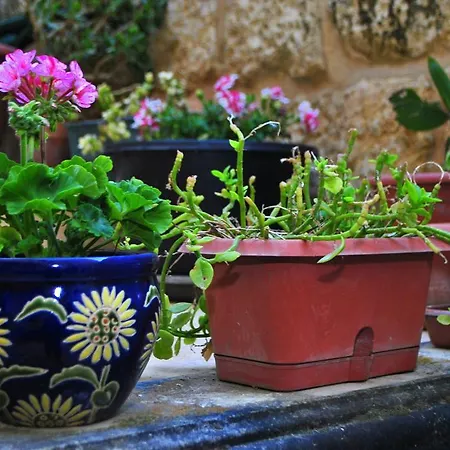 Casa vacanze Dar Ghax-xemx Victoria