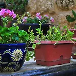 Dom wakacyjny Dar Ghax-xemx Victoria