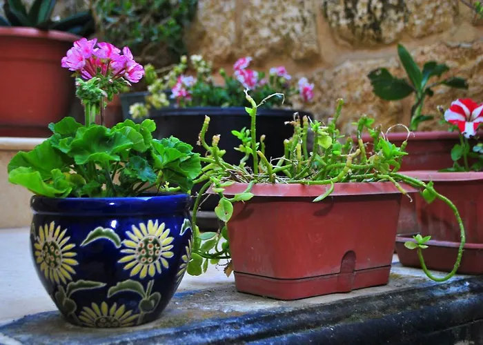 Holiday home Dar Ghax-xemx Victoria